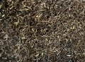 Fanaberia-produkt First Flush DJ1_24 F.png