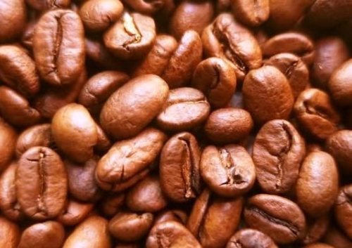 finca 2.jpg