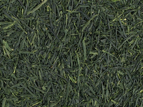 09780 Shicha Saemidori.jpg