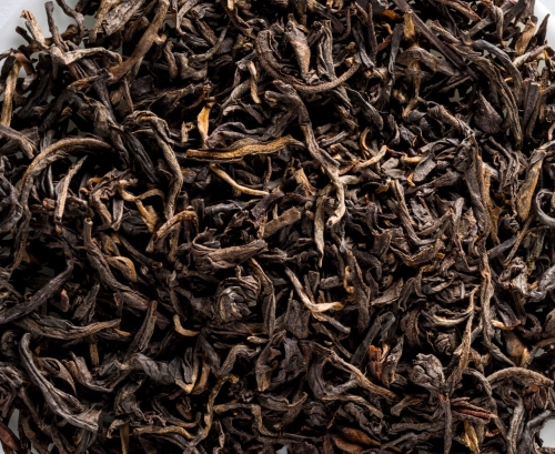 Vietnam rainforest 21652.jpg