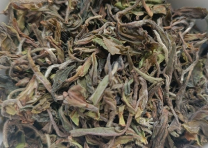 Darjeeling Giddapahar DJ-3 FTGFOP1 -"lotniczy"