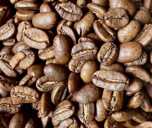 orangutan caffee.jpg